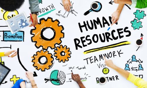 الصورة المصغرة للدورة