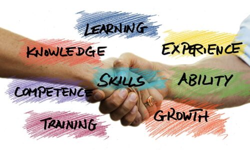 التدريب المهني للتربويين